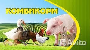 Продам зерно.зерносмесь