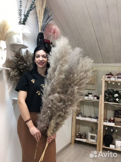 Пампасная трава