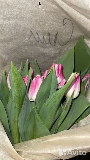 Тюльпаны к 8 марта