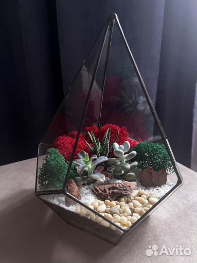 Флорариум подарок на 8 марта