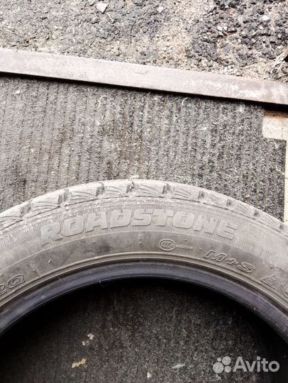 Roadstone Winguard Ice 195/50 R15