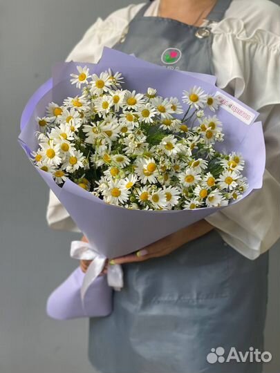 Ромашки цветы букеты