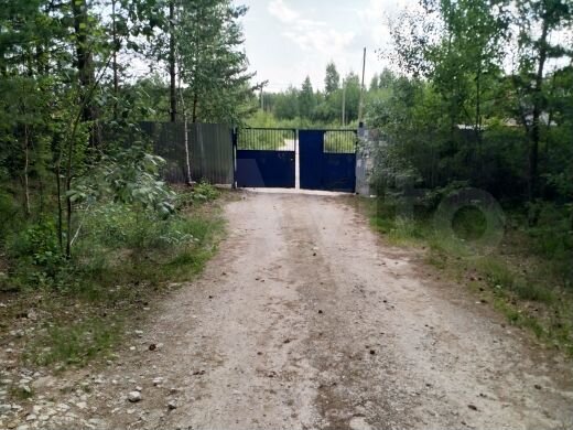 Участок 12 сот. (СНТ, ДНП)