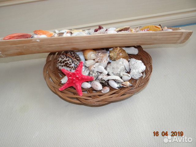 Морская коллекция (Индийский океан)