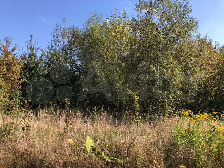 Участок 10 сот. (личное подсобное хозяйство (лпх))