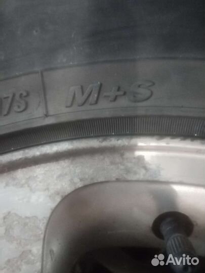 Toyo Tranpath S/U 16/70 R16