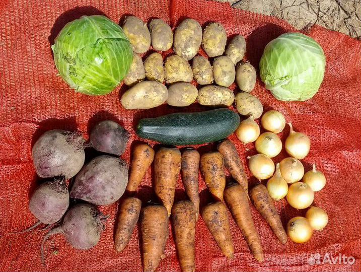 Картофель, капуста - овощи