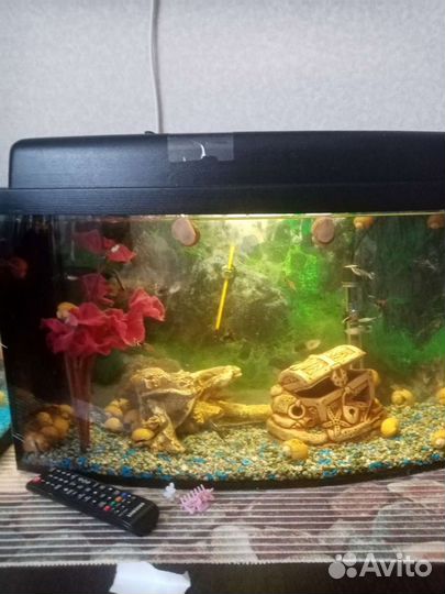 Аквариум