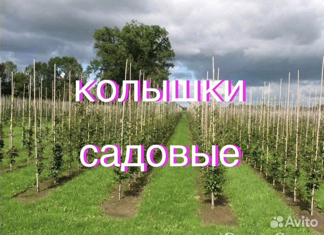 Колышки для подвязки растений, помидоров