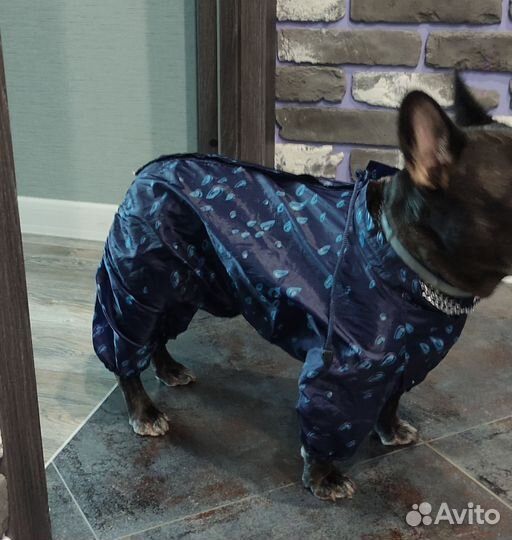 Дождевик для собак