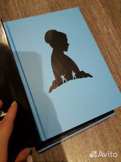 Звёздные войны. Принцесса. негодяй и мальчик с