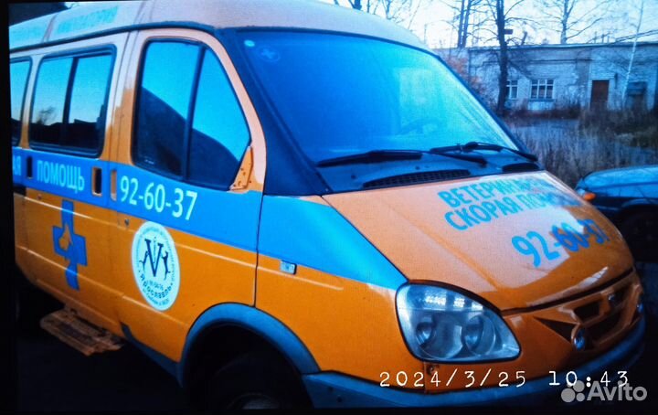 Ветеринарный врач на дом круглосуточно