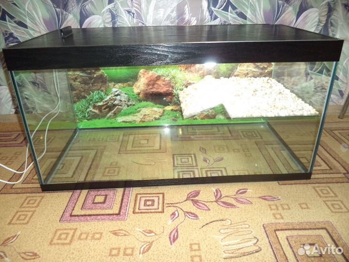 Продаю новые Черепашники и аквариумы для Рыб