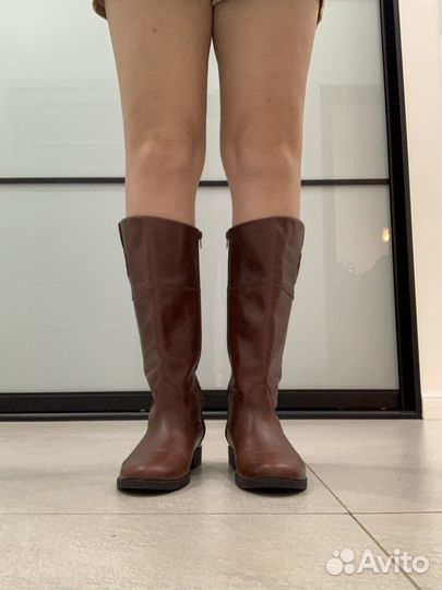 Сапоги zara 38