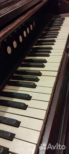 Продам орган