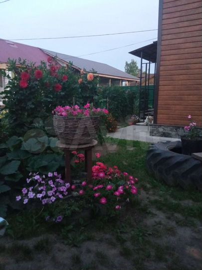 Дом 65 м² на участке 4 сот.