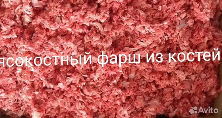 Корм для собак