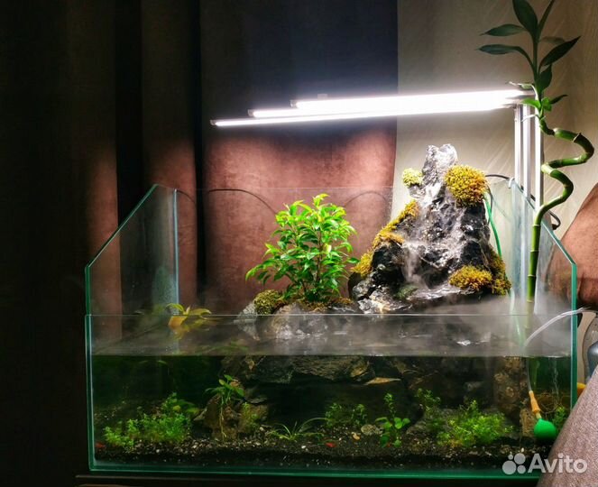 Аквариум палюдариум