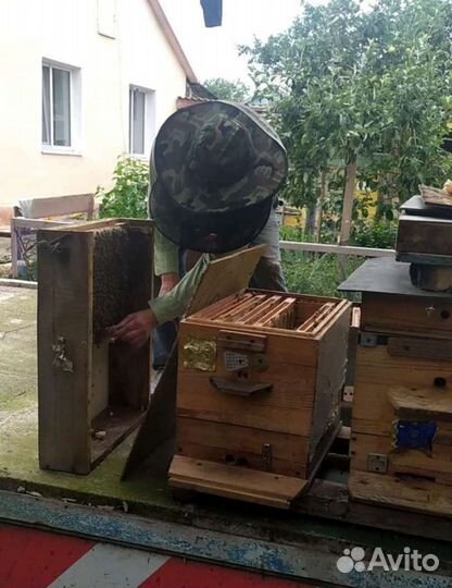 Мёд Нижнегорский р-н Крым