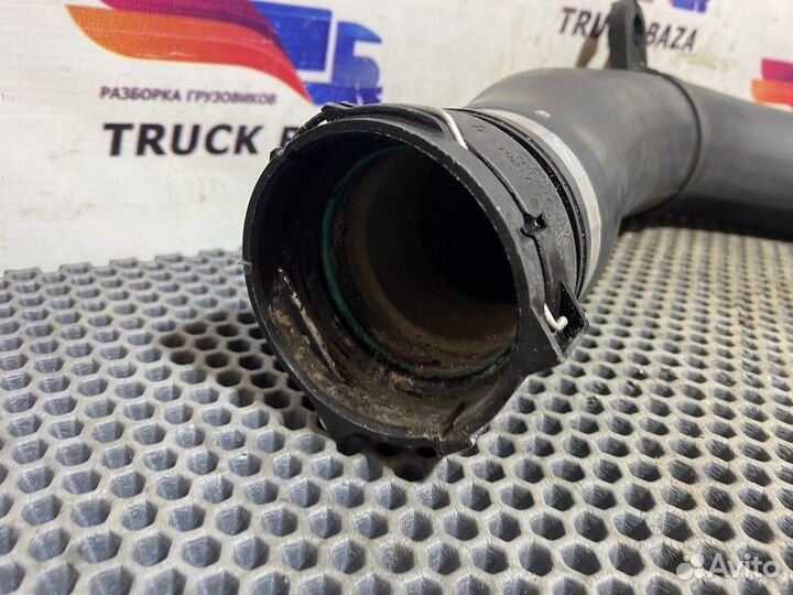 Патрубок радиатора Daf XF105