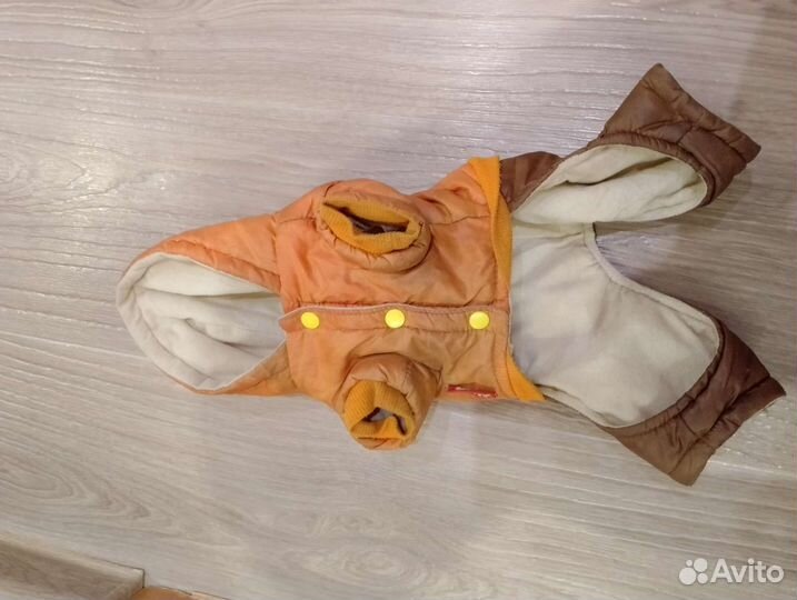 Дождевик для маленькой собаки