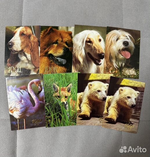 Карманные календарики СССР, природа и животные