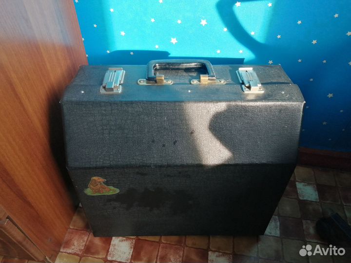 Баян огонек 2