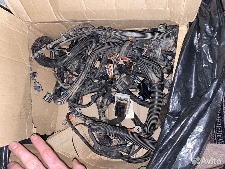 Проводка на весту