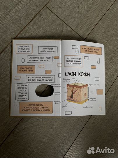 Книга Что скрывает ваша кожа