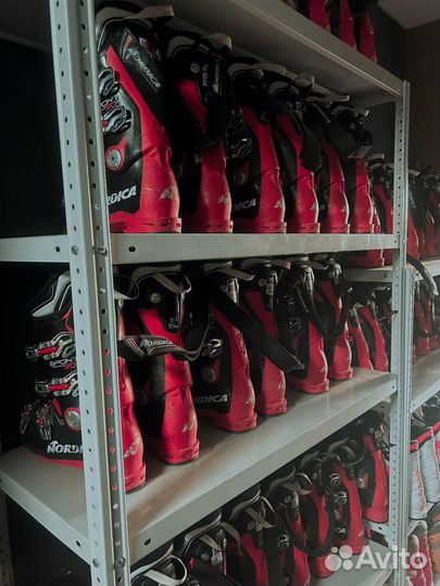 Прокат горных лыж и сноубордов на сезон