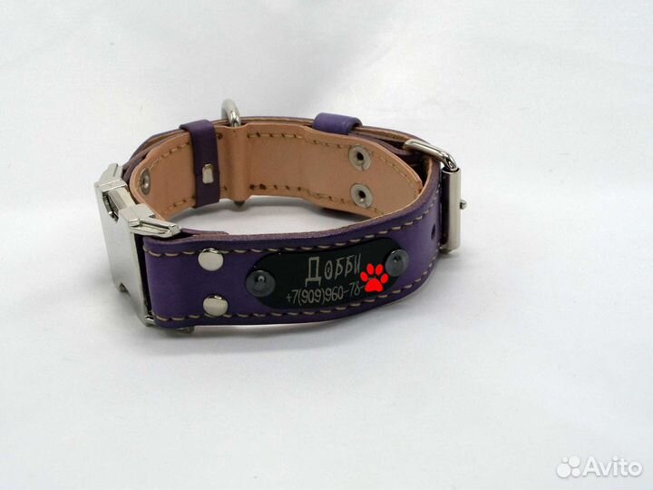 Кожаный ошейник с пряжкой фастекс