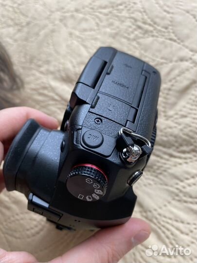 Panasonic gh5s (body)
