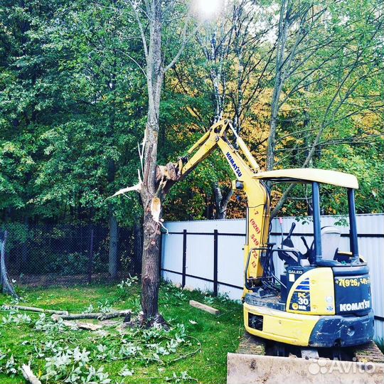 Расчистка участков / удаление деревьев