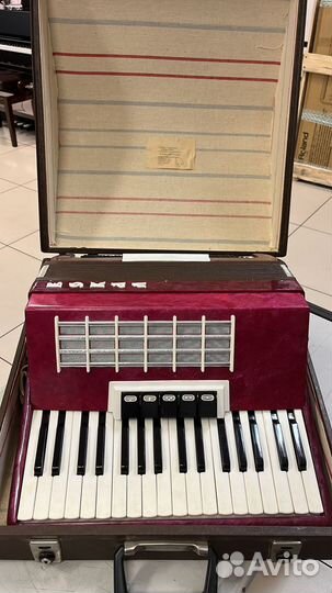 Аккордеон Вокал сиреневый