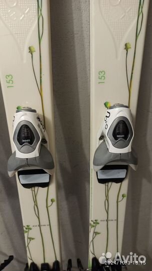 Горные лыжи