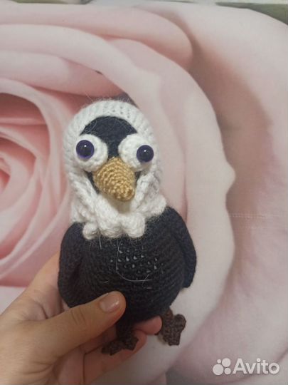 Вязанная ворона