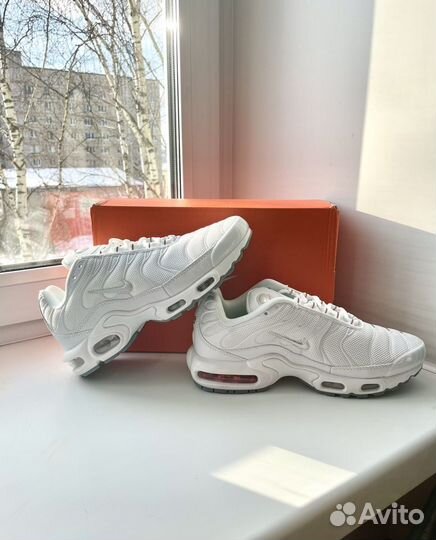 Кроссовки Nike Air Max Tn Plus