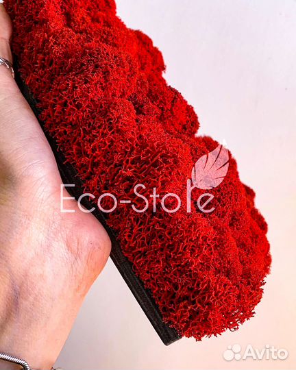 Картина из мха Сердце