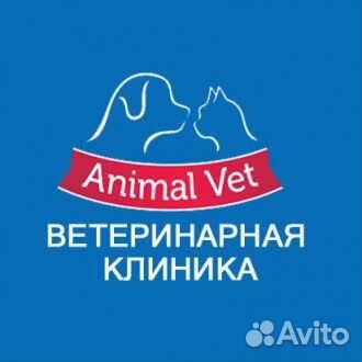 Администратор ветеринарной клиники