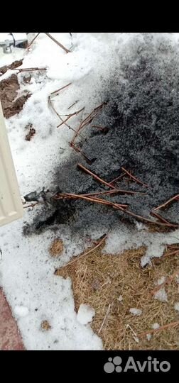 Промывка системы отопления Тверь/Тверск/Моск обл