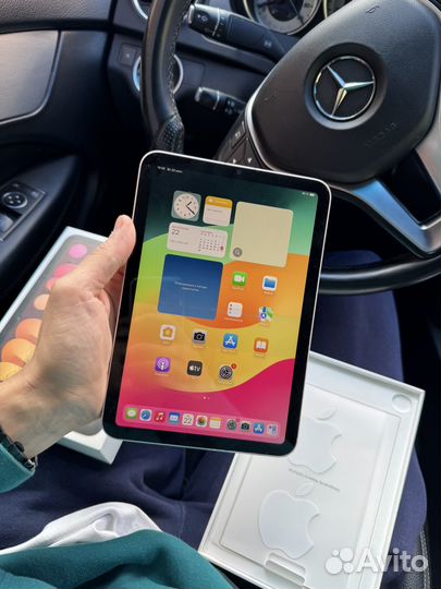 iPad mini 6 cellular+wifi