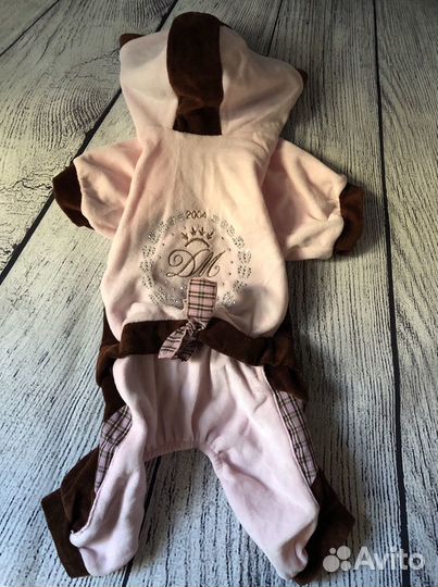 Одежда для собак