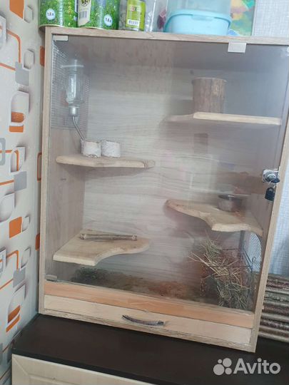 Витрина для шиншилл