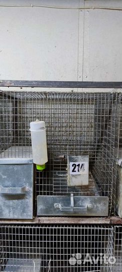 Клетка для грызунов