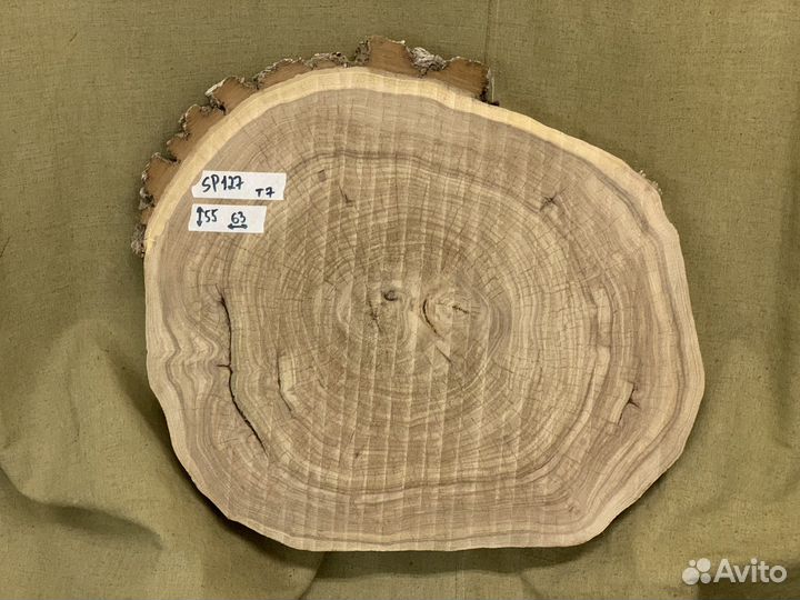 Спил карагача