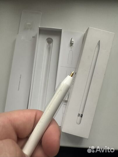 Apple pencil 1