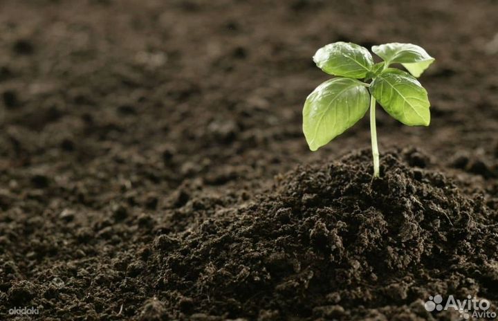 Гpyнт раститeльный