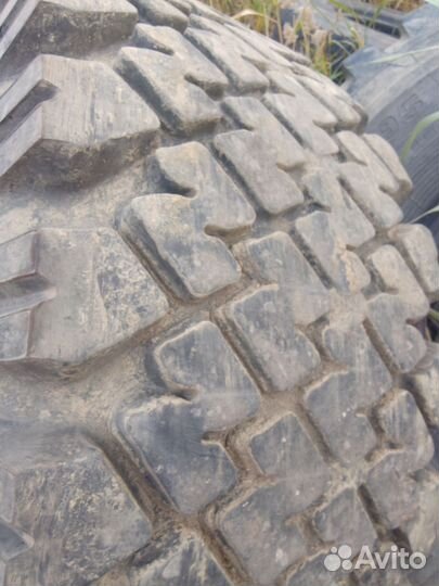 Шины 1300*530-533 лаптежник