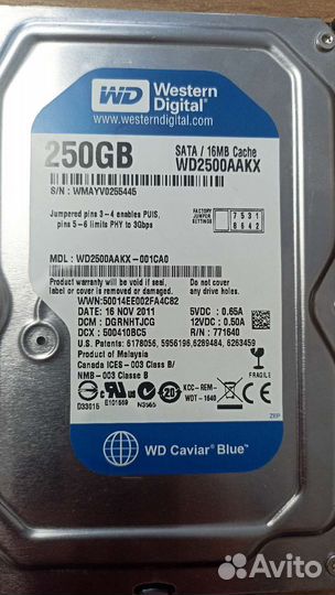 Жесткий диск WD 250gb