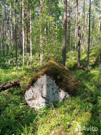 Петрозаводск Топ-Экскурсия Таёжное чаепитие: горны